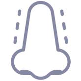 鼻樑過寬者-ICON