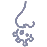 曾假體隆鼻感染或穿出者-ICON