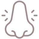 絕佳彈性及支撐力-ICON