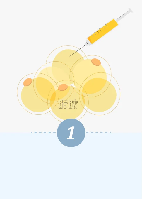 消脂針-第一步驟