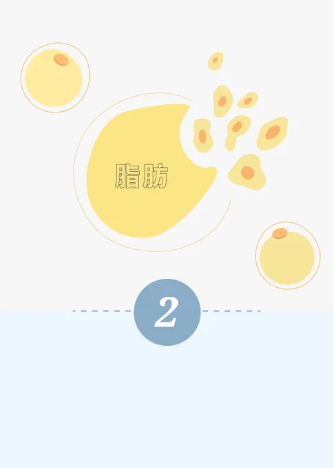 消脂針-第二步驟