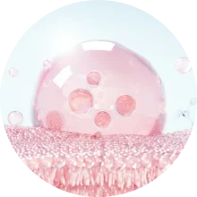 膠原蛋白增生劑