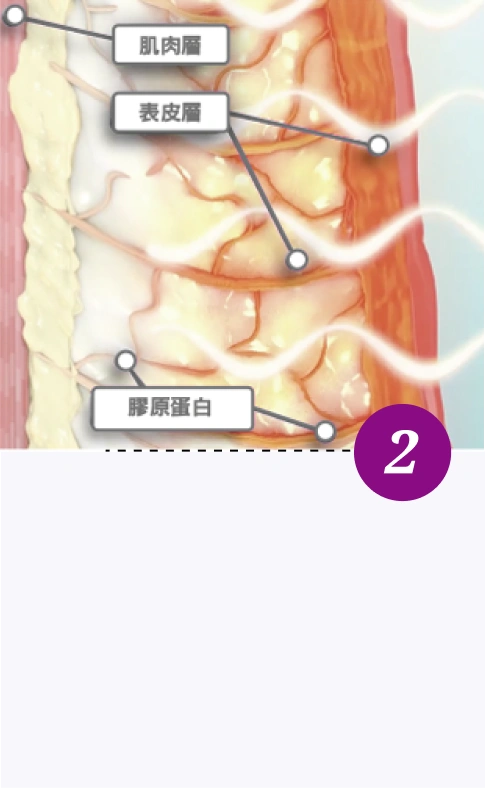 鳳凰電波-第二步驟