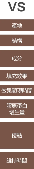 比較項目-產地、結構、成分、填充效果、效果顯現時間、膠原蛋白增生量、優點、維持時間